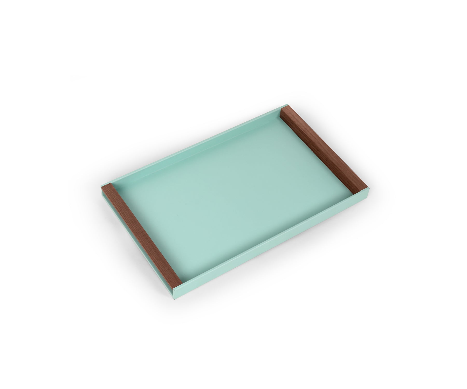 Buy Turquoise Tino Large Organizer Tray - Contemporary Style - Taamaa